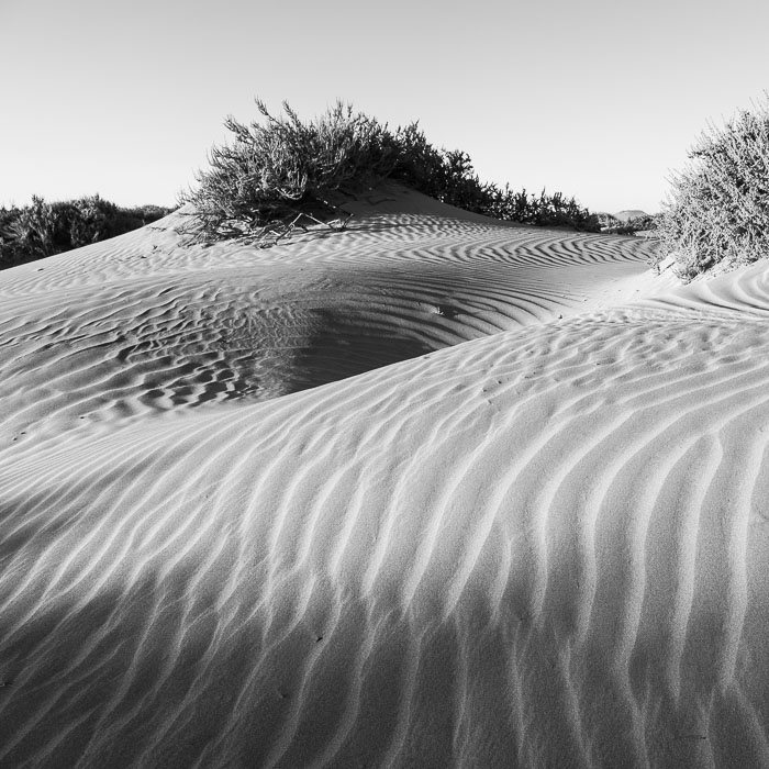 Lanzarote-noir-et-blanc-5.jpg