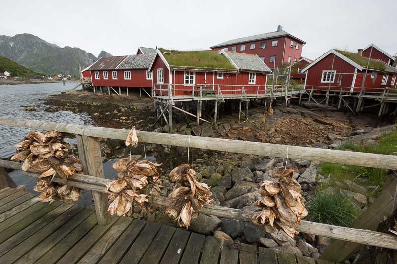 Reine-Iles-Lofoten-maisons-rouges-poissons-seches-Norvege.jpg